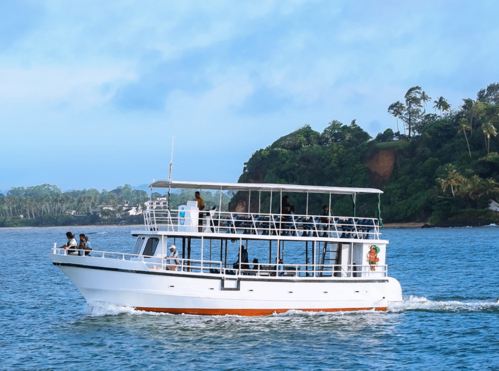 Whale Watching Mirissa Sri Lanka